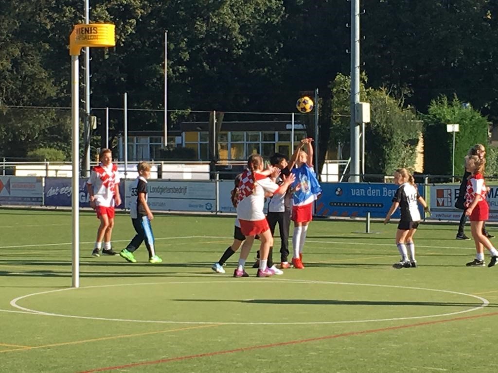korfballen delft des