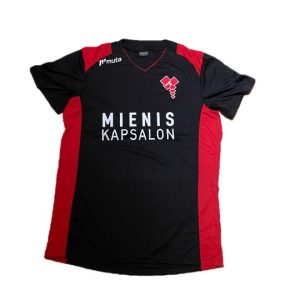 DES Inschietshirt